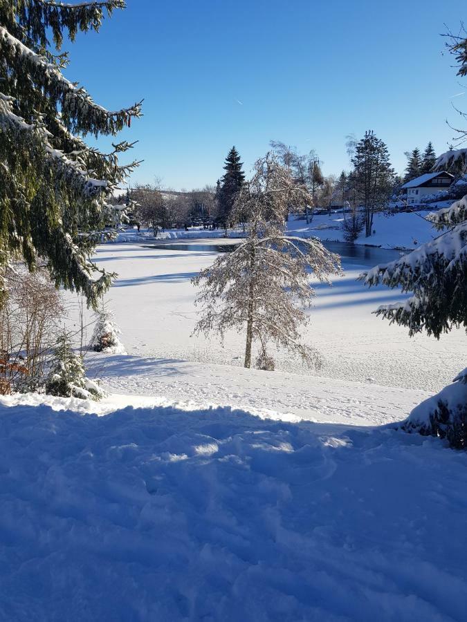 Jules Traum Im Schwarzwald Daire Herrischried Dış mekan fotoğraf