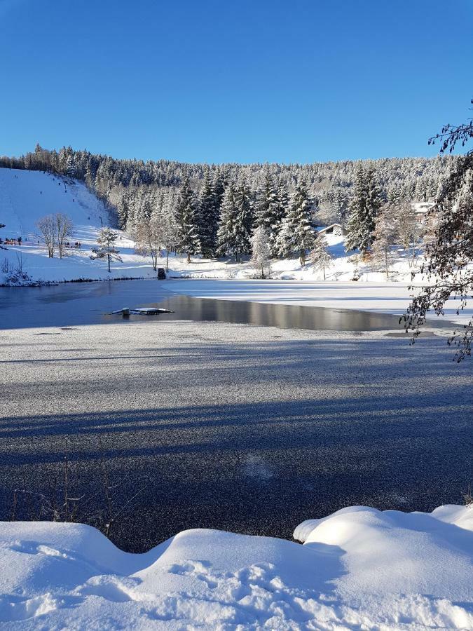 Jules Traum Im Schwarzwald Daire Herrischried Dış mekan fotoğraf