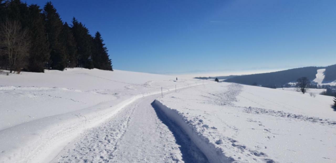 Jules Traum Im Schwarzwald Daire Herrischried Dış mekan fotoğraf