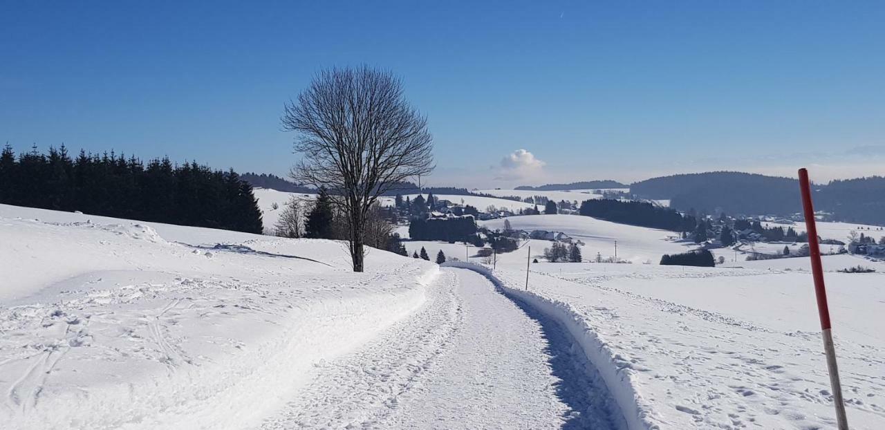 Jules Traum Im Schwarzwald Daire Herrischried Dış mekan fotoğraf